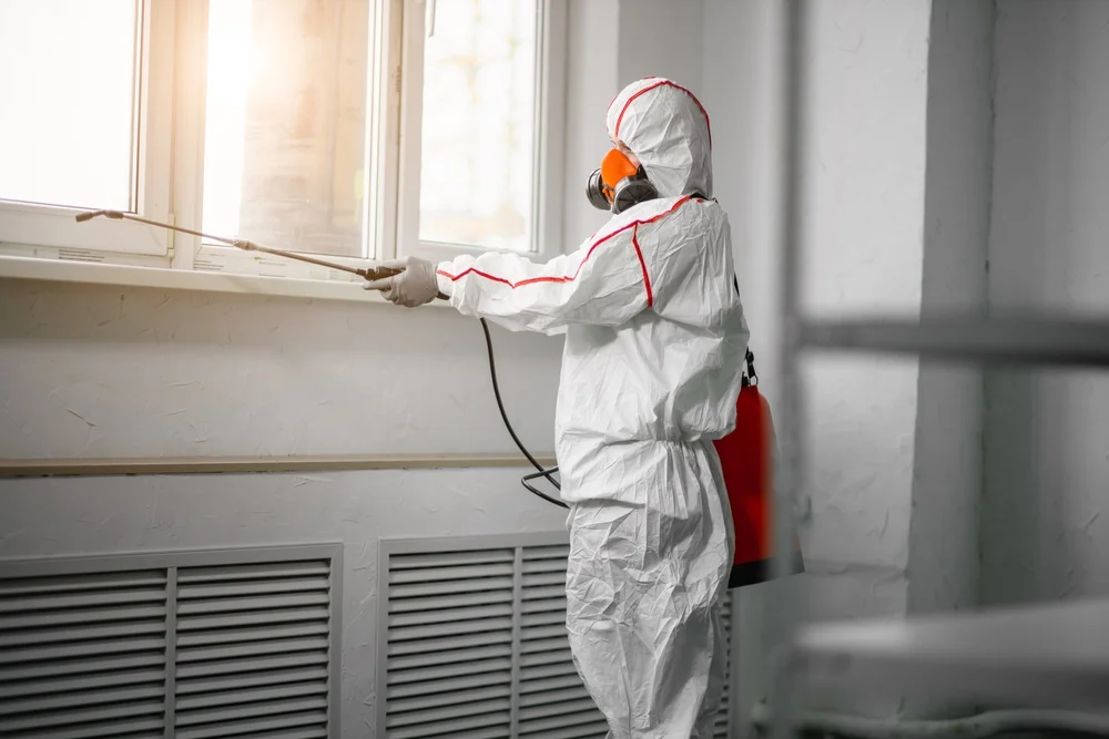 Professional mold remediation services in Pleasanton, TX